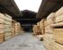 Harga Kayu Meranti