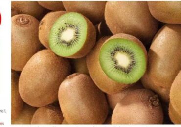 harga kiwi_02e2e5329.jpg