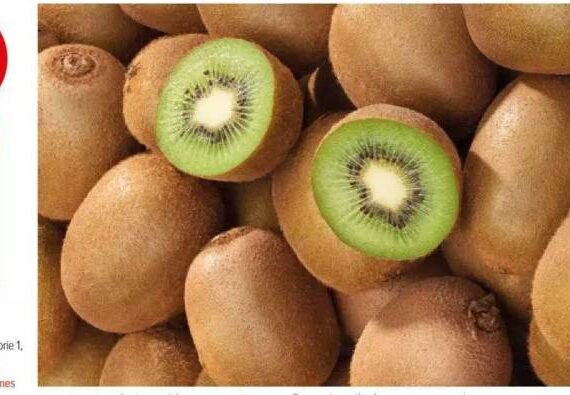 harga kiwi_02e2e5329.jpg