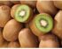 Harga Kiwi