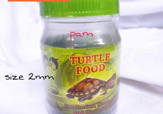 harga makanan kura kura air_6d2b704df.jpg