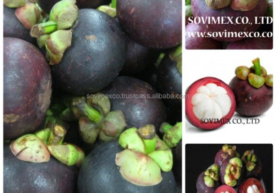 harga manggis_1c553ba3b.jpg