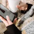 Panduan dan tips memilih smartphone baru sesuai dengan kebutuhan dan spesifikasi